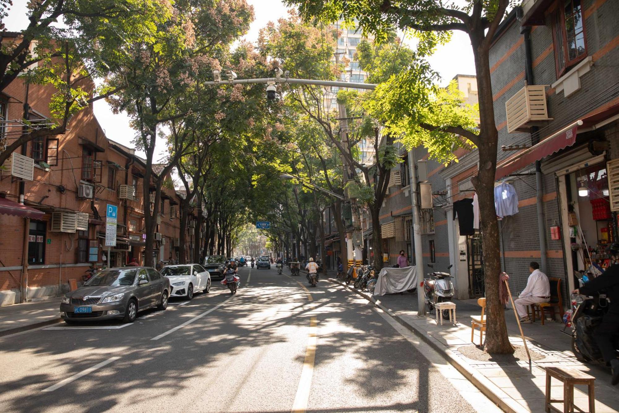 Dreams - Hidden Gem On Yongkang Road - Entire Apartamento Xangai