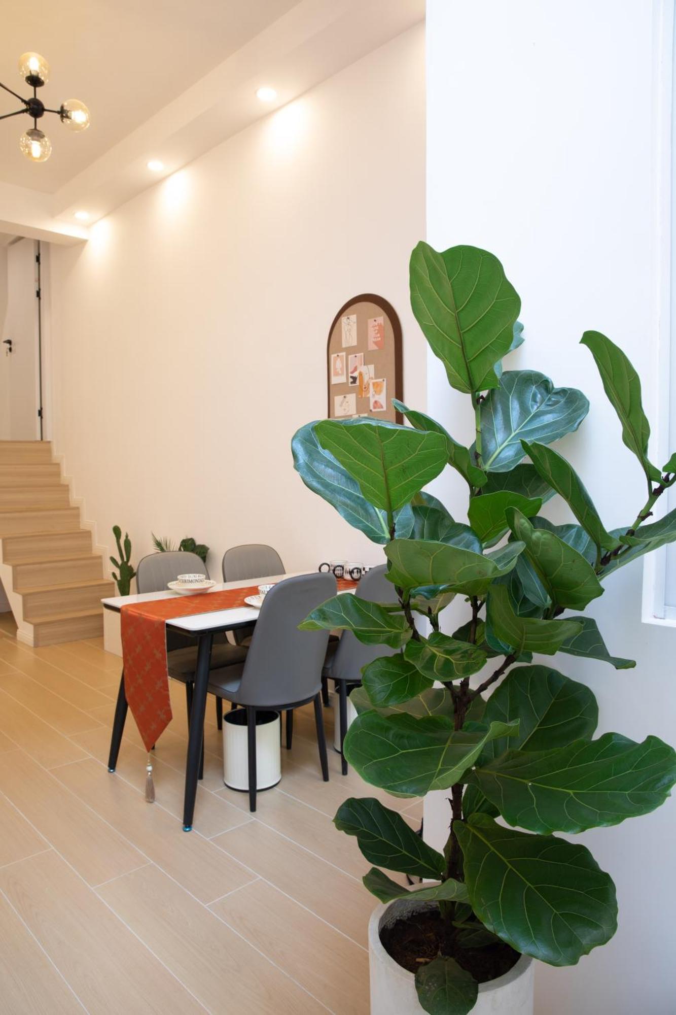 Dreams - Hidden Gem On Yongkang Road - Entire Xangai